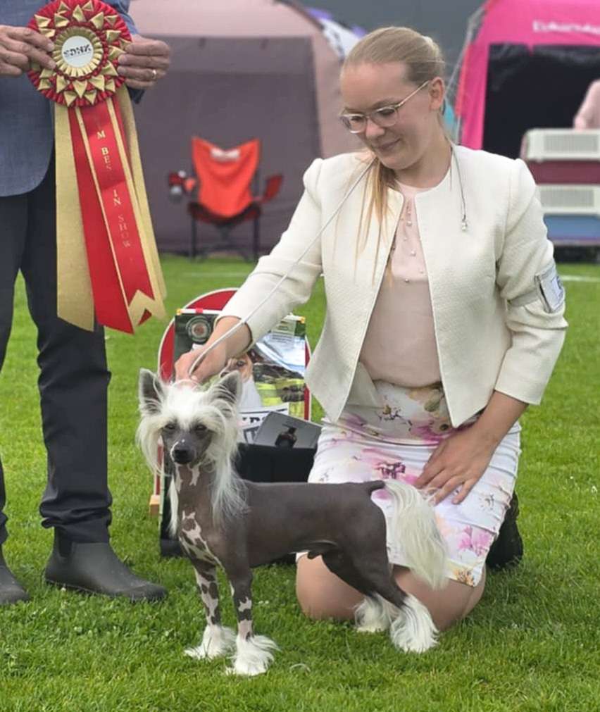 Kaylen's Can't Wait To Be King