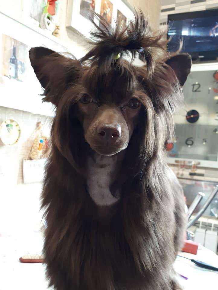 My Lucky Charm Josephine