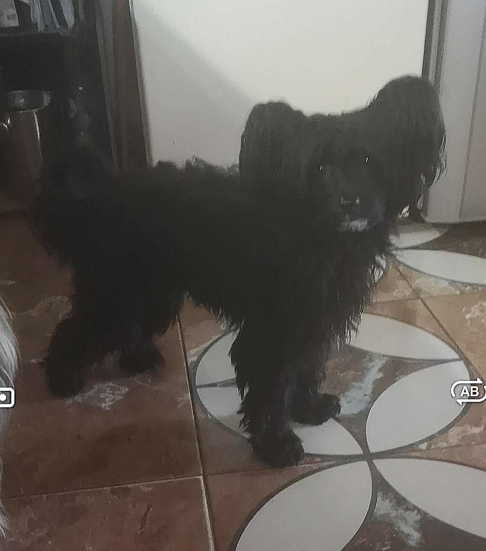 Dinar dark Iz chudnoy doliny