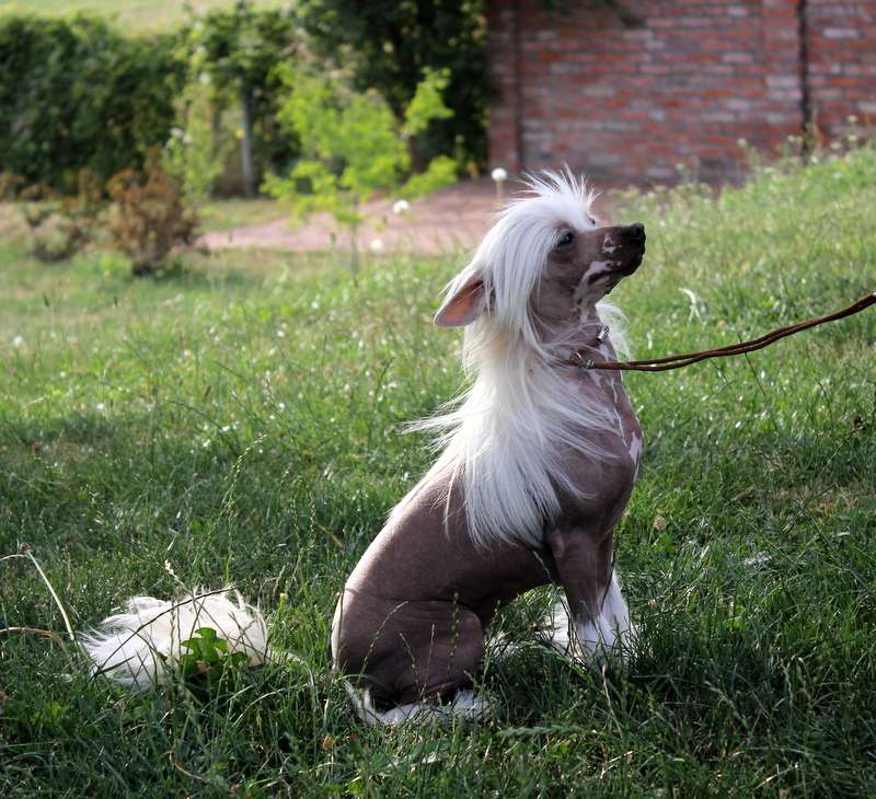 Solino's Social Media