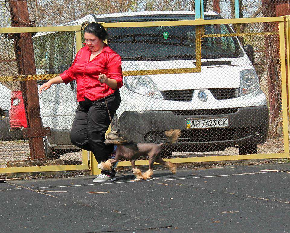 Alaydzha Molosos Gratzi