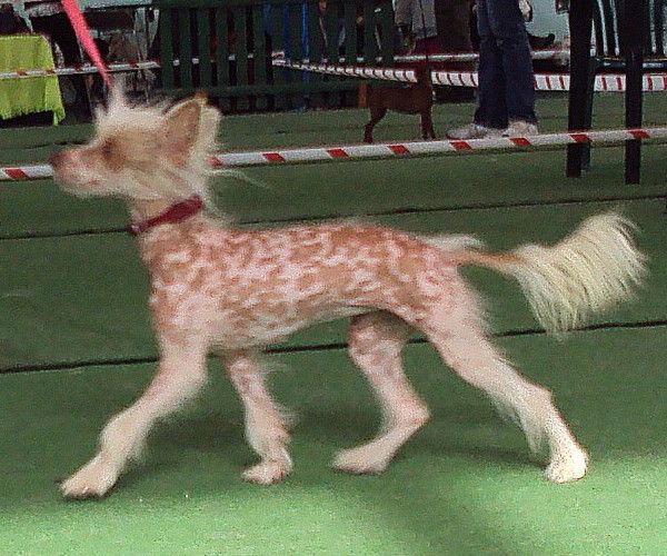 Myledy De Vinter From Trina House