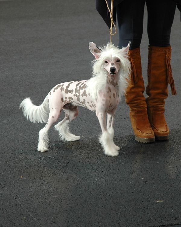 Nasty Boy Fantasy Island