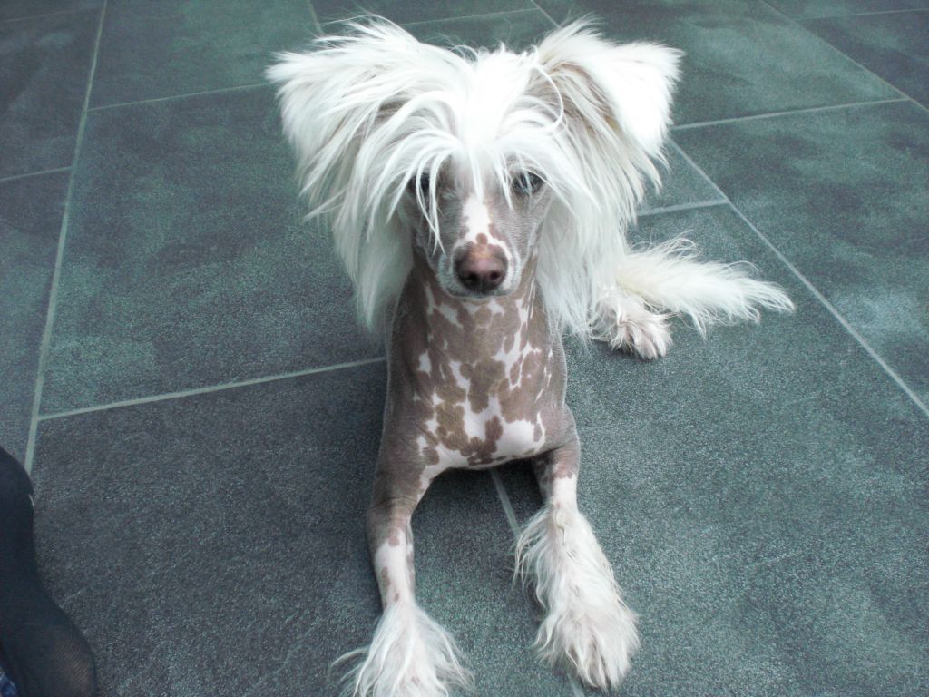 Jelly-Belly Fantasy Island