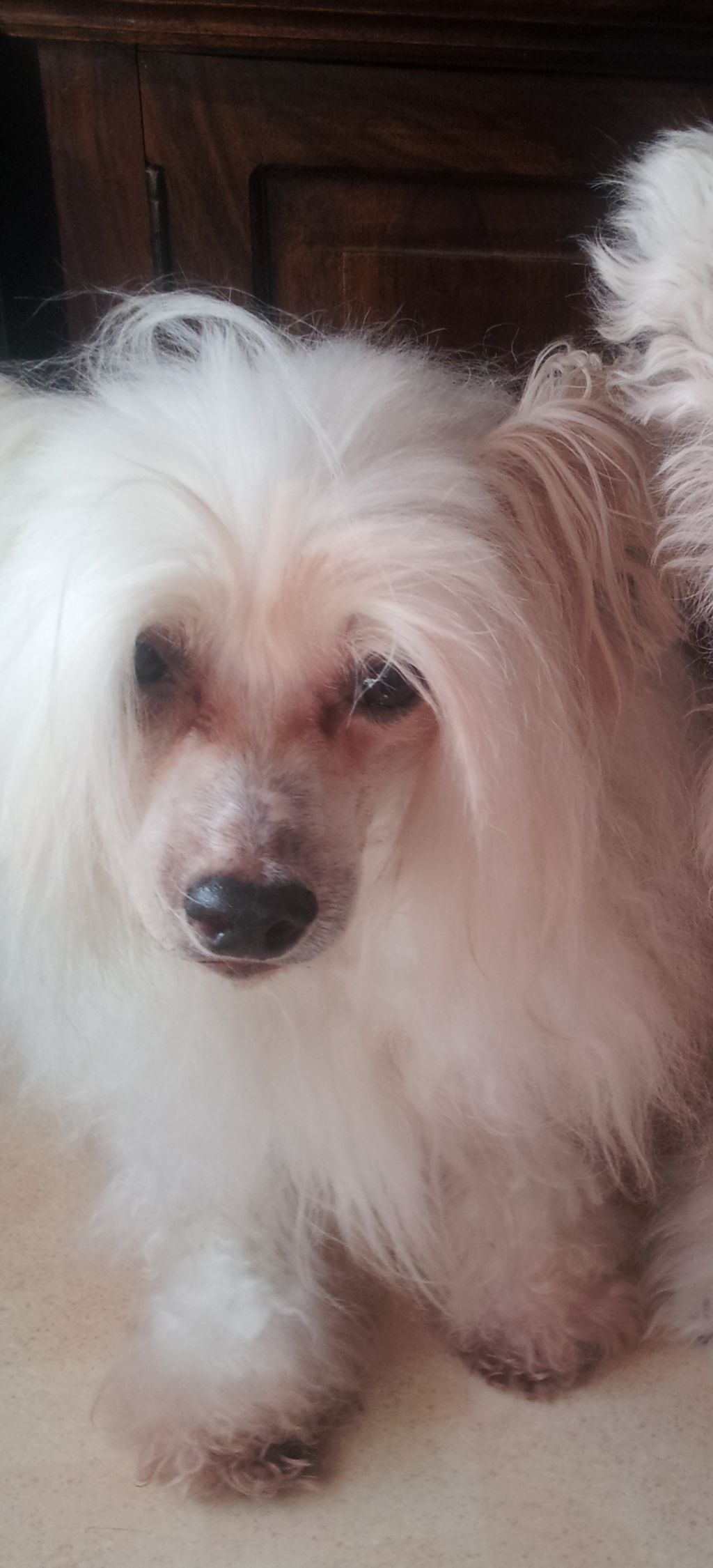 Trollmyren's Zandstorm