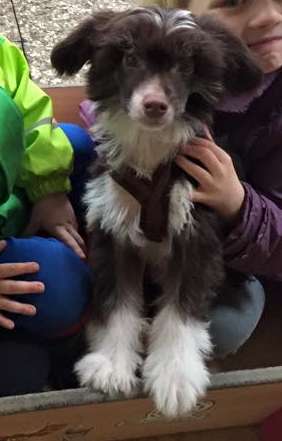 Twilight Diamonds Early in the Morning