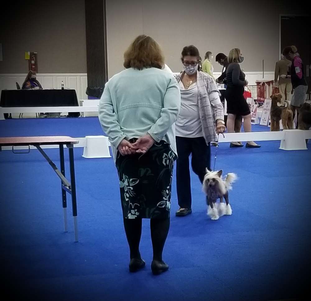 By Angel Wings I'm A Traveling Man