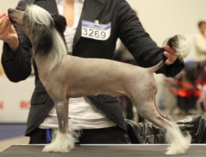 Bai Long's Kiss N Tell