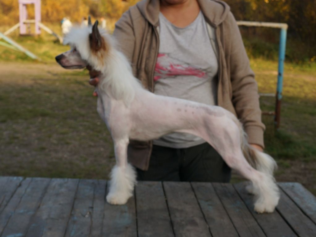 My Lucky Love Inside Your Soul