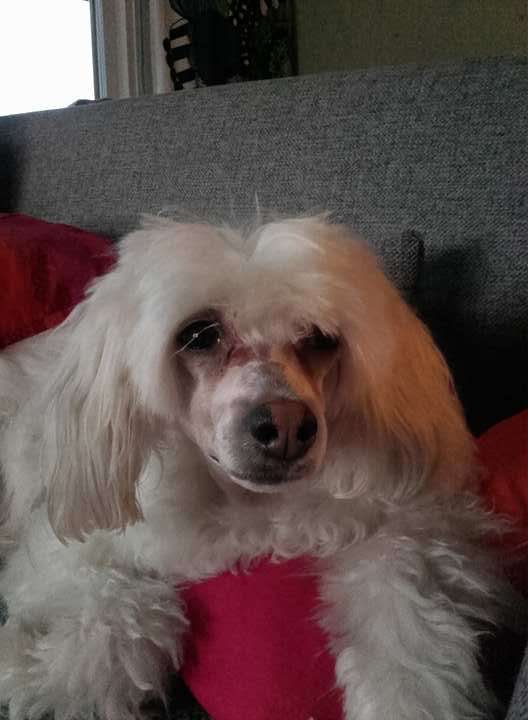 Sun Dan Wonderfull World