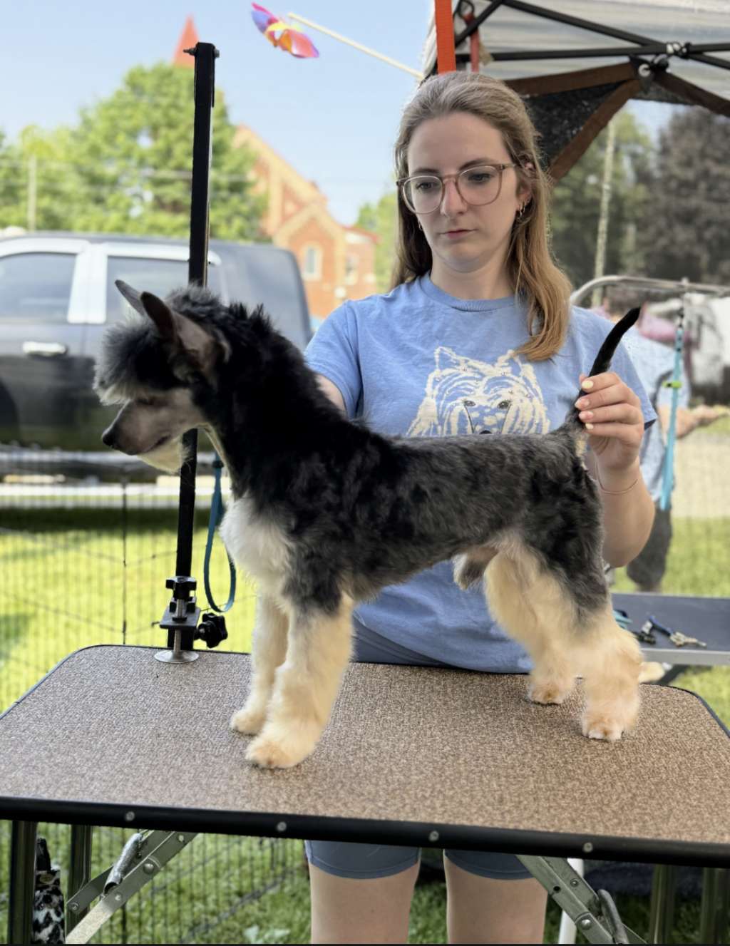 CANCH Taja Pinball Wizard at Denali