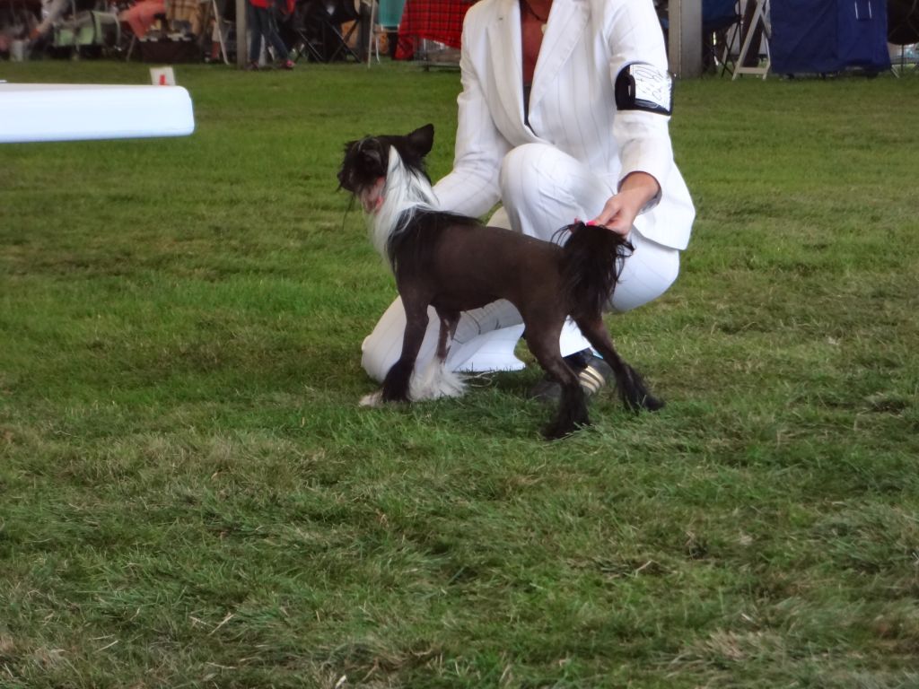 ARANKA z Valdorfskych lesu