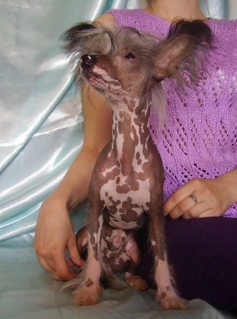 Tornado Lunar Sonata