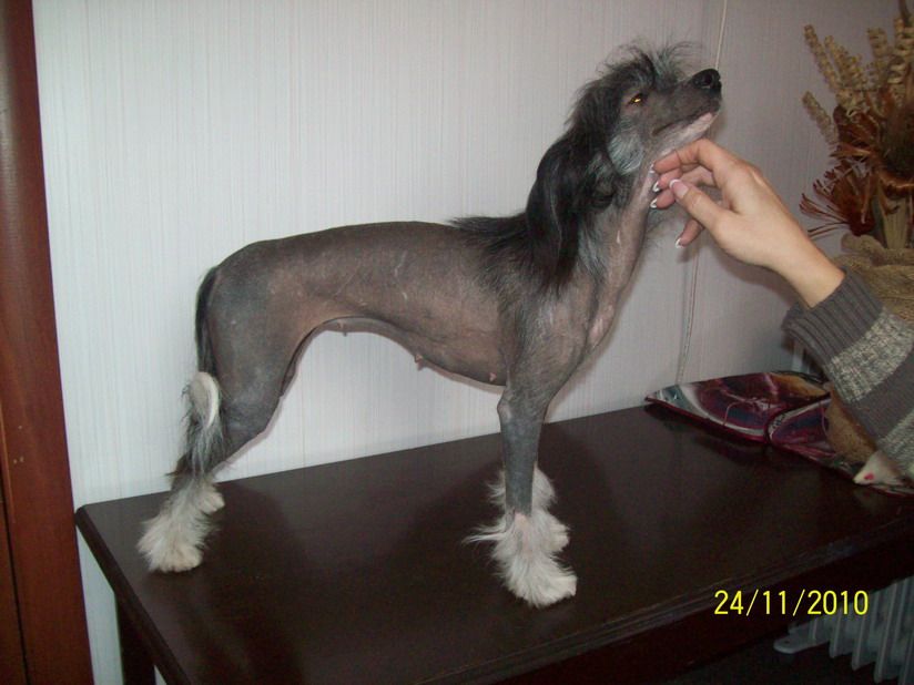 Anais Sladkaya Zhizn'