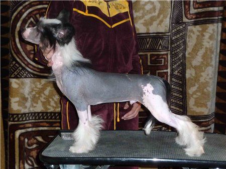 Olegro Katrin Arivederchi