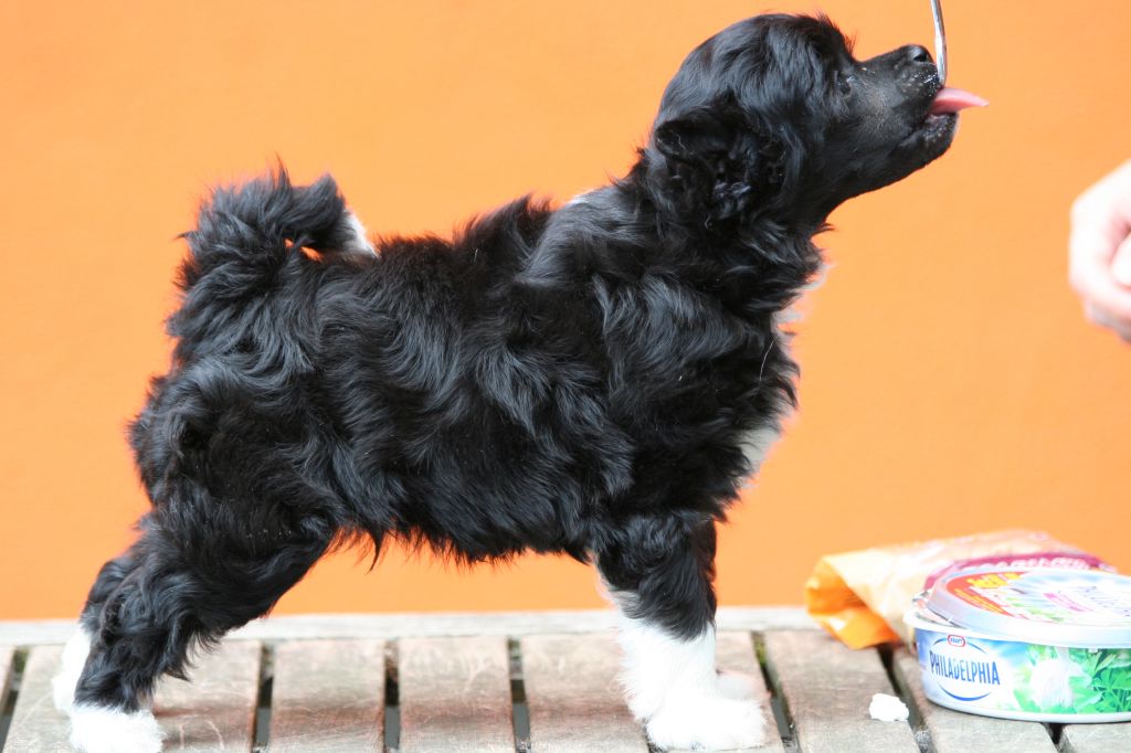 Dresscode-Zero Kicks Ass