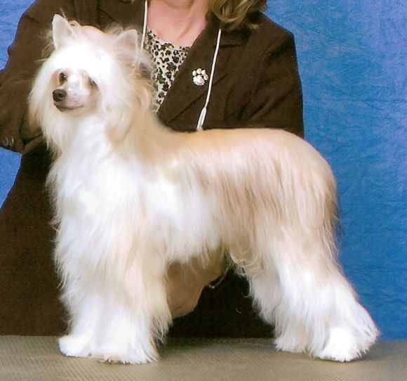 Ecola Lily Go Lightly