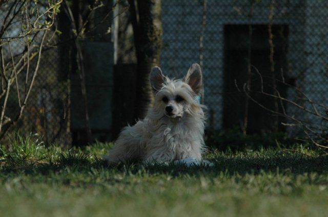 Devi Lila Aleksa's House