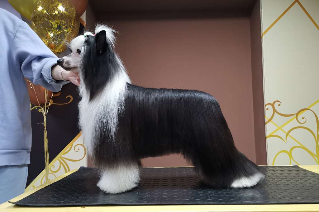 Incanto Del Mondo De Lux