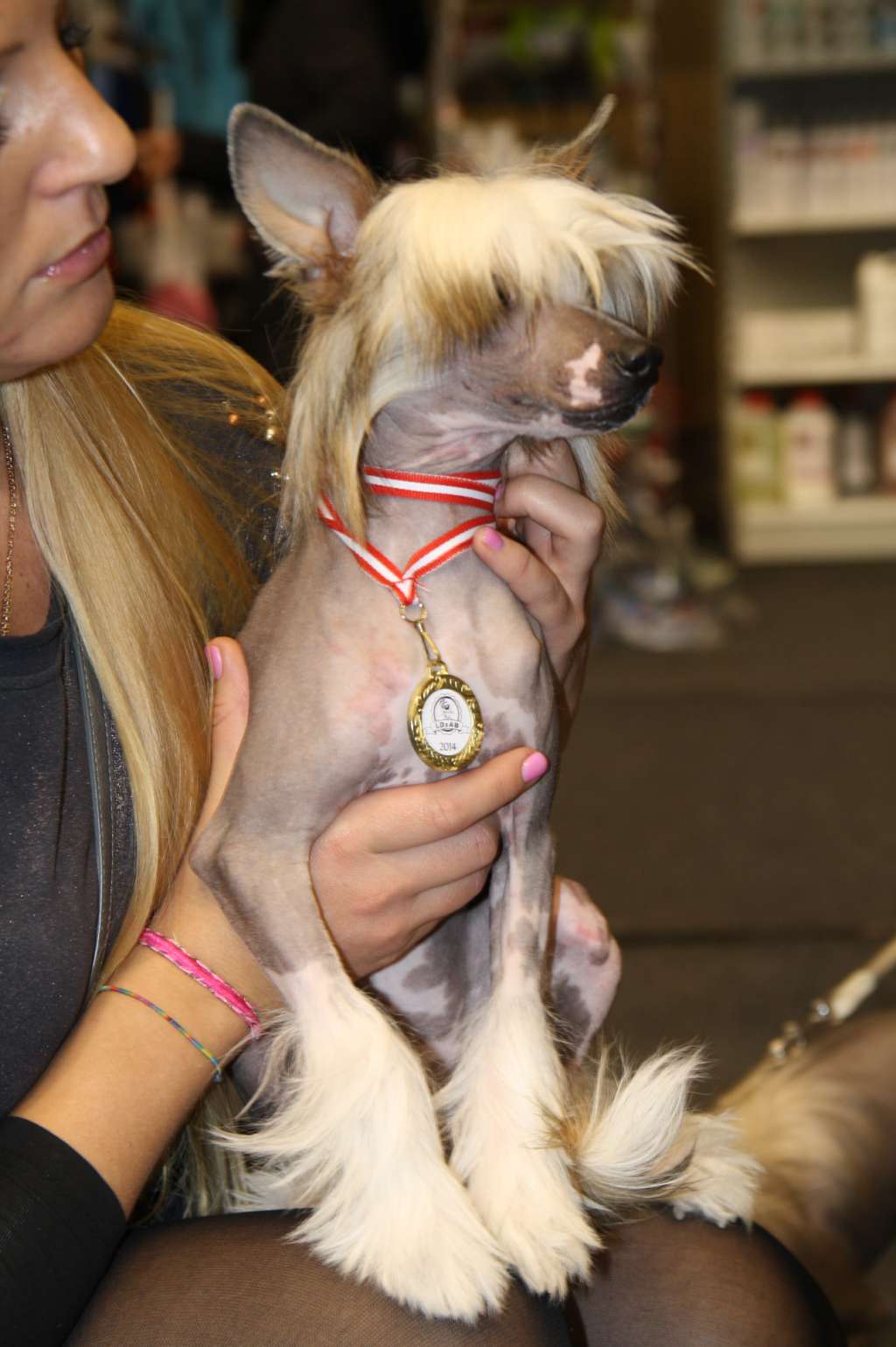 Kinu Arkliukas Ammy Cherry Blossom