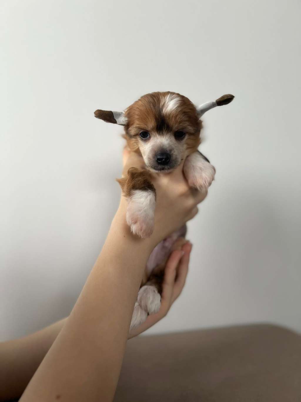 Elance Louange Arran Marsy