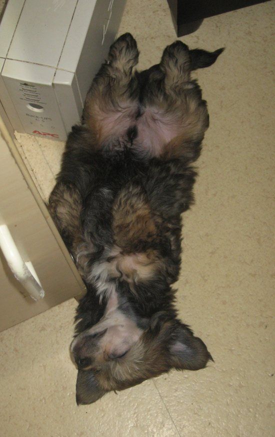 Stormblåstens Yog-Sothoth