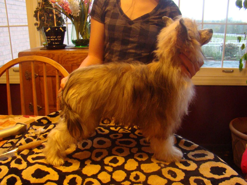 Six Gems Shoot for the Stars