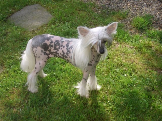 Kind of Magic Fantasy Island