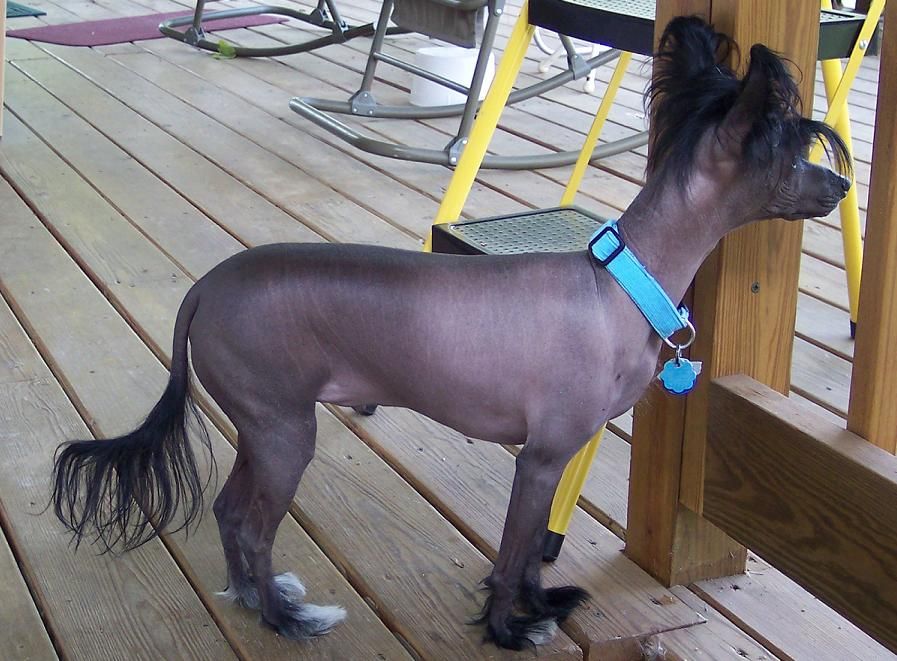 Keep On Truckin' N'Co