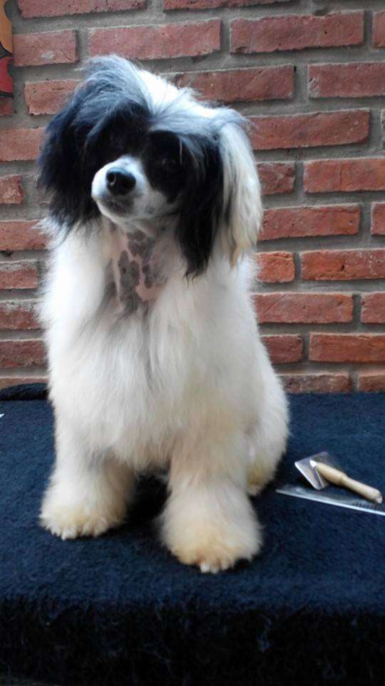 Patagonia Ranch Lukas GO