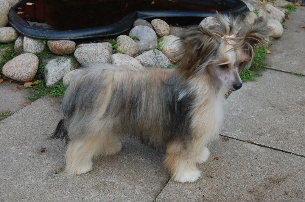 Pinky Twinky One Of A Kind