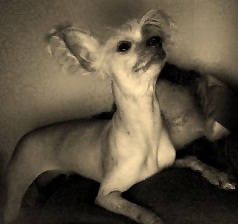 Debless One's Gerda Ling