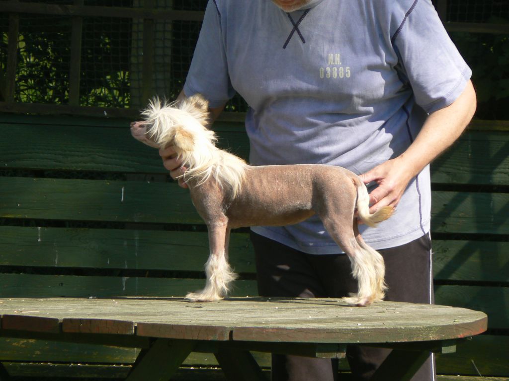 doucai I've got the look