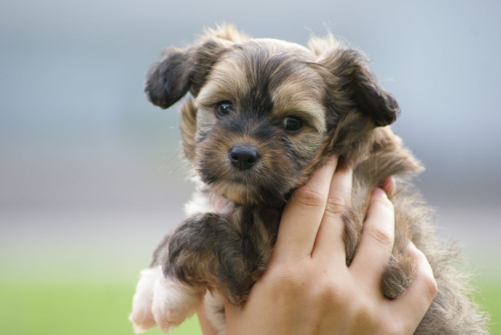 Nudaveritas Escada Incredible Me