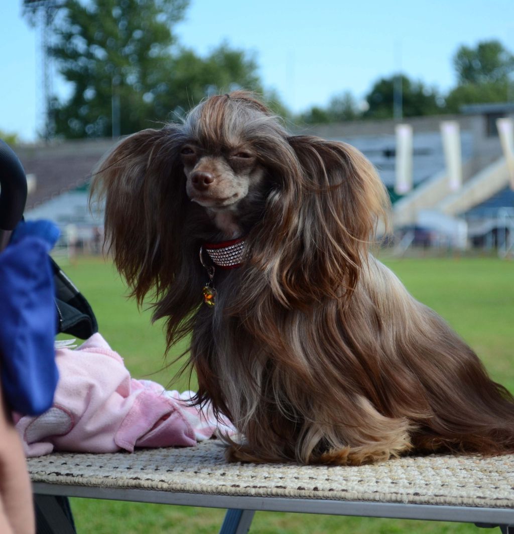 Perl Magic Charovnitsa Milisenta