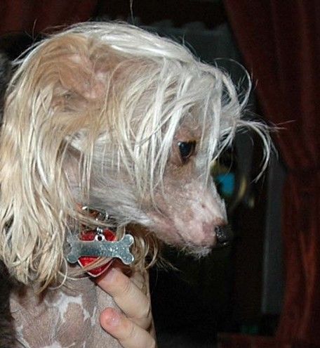 Darius Od Sv. Linharta