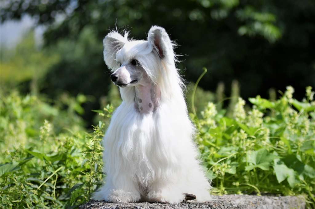 You're My Soul Winning Smile