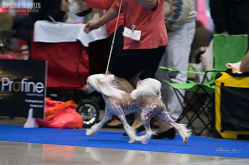 Happy Ray Duncan MacLeod