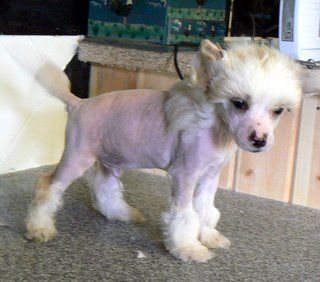 Doucai Takes One To Know One