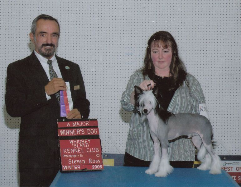 D'Nude's Roase Flash Black