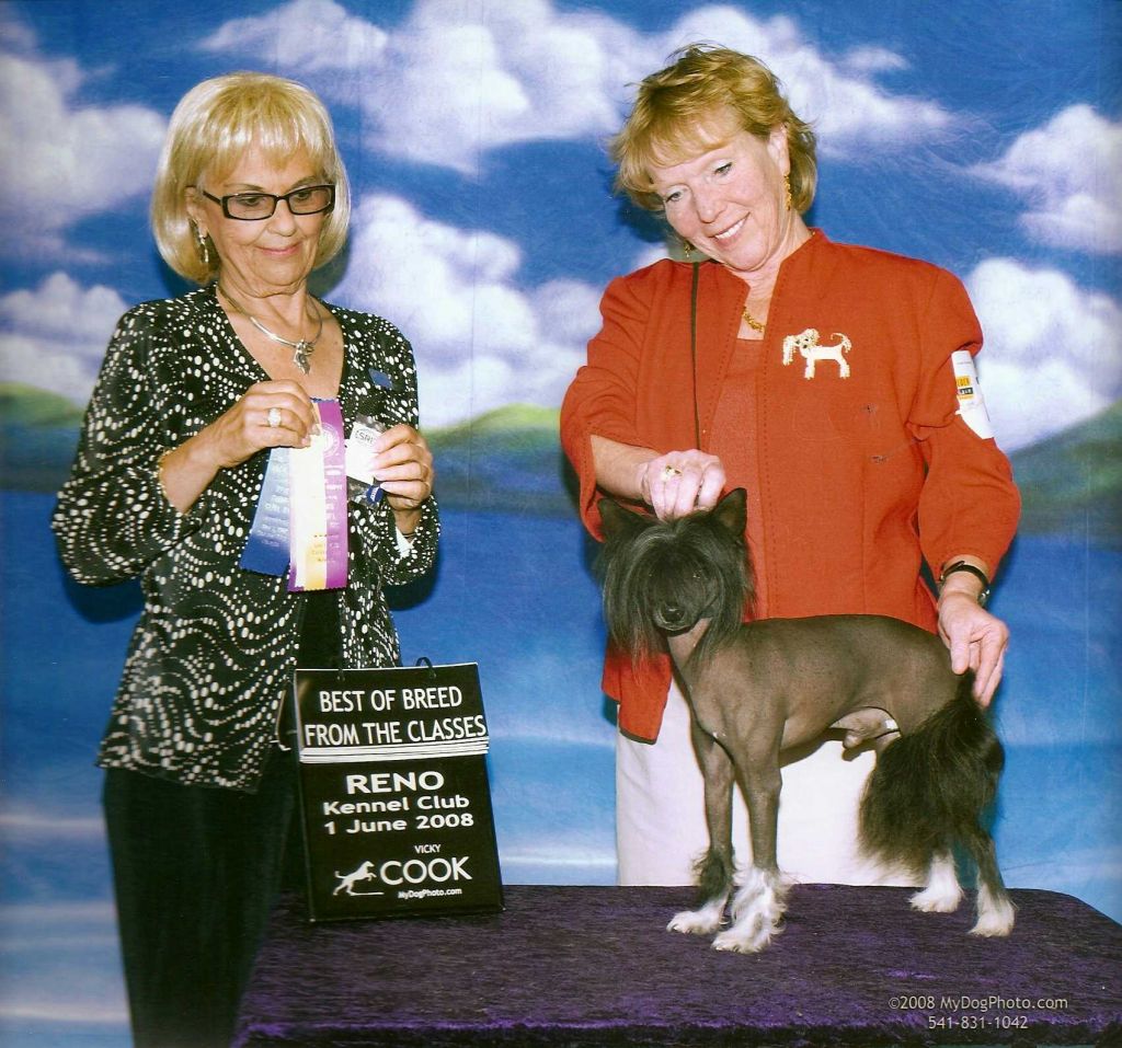 Conlin's Sundown's Midnight Madness