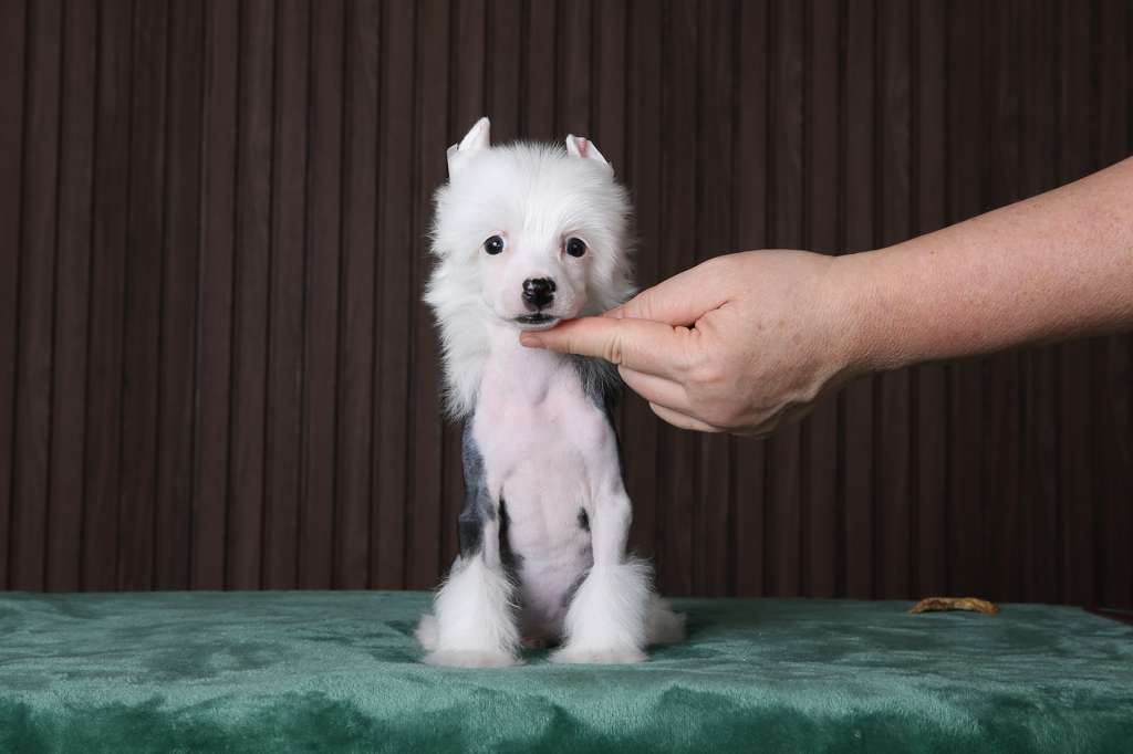 Incanto Del Mondo Tinder