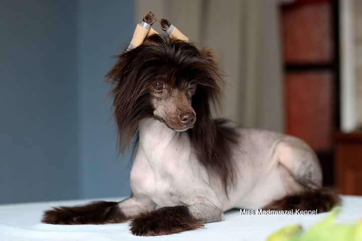 Miss Madmuazel Ashley