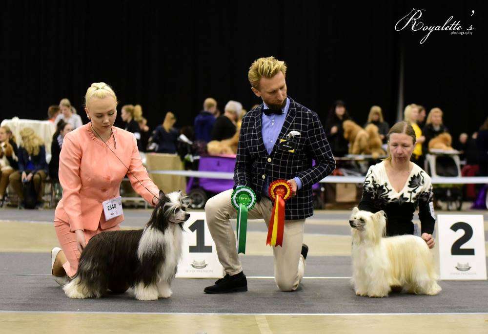 Olegro Katrin Nevada