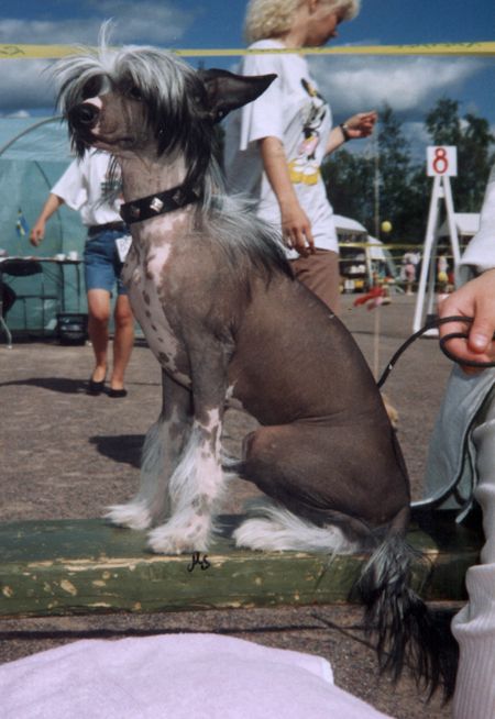 Secret Line's My Fair Lady