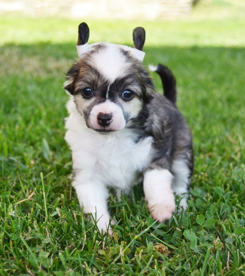 I'm Tempted Heybett Jemalle