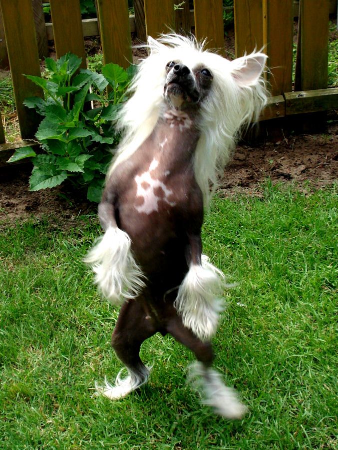 My Longtime Companion Euphoria