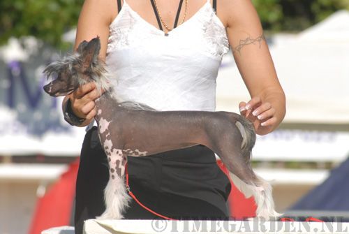 Timegarden Unlike Any Other