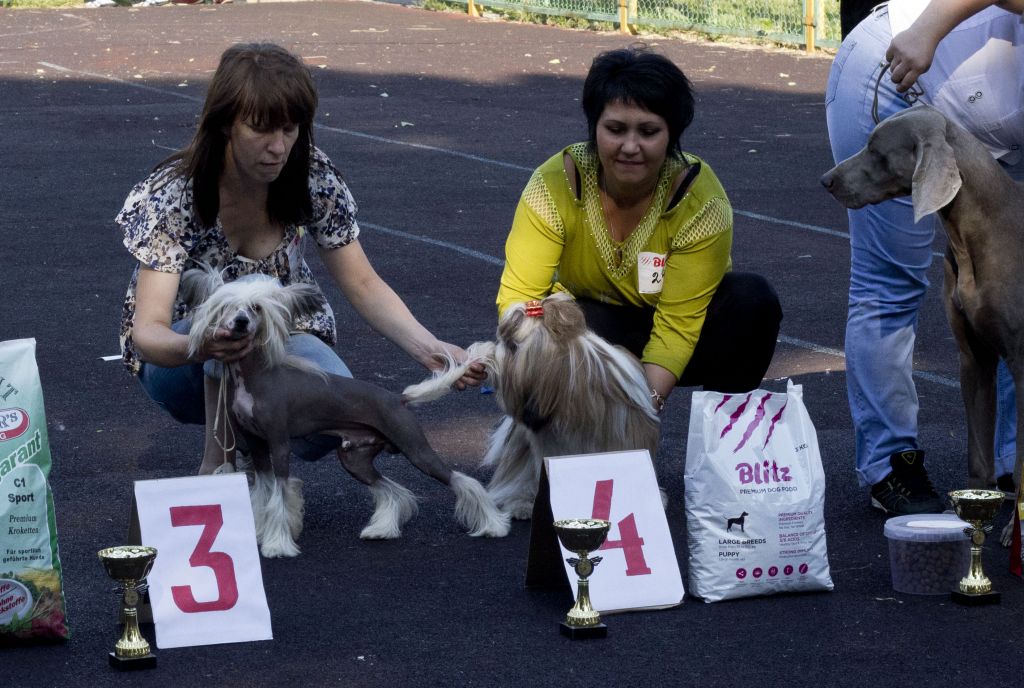 Naleks Art Reykjavik