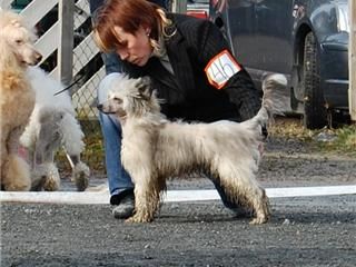 Sun-Hee's Show U How To Huzzle